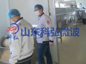 微波食品杀菌机工厂直销价格与供应信息详解